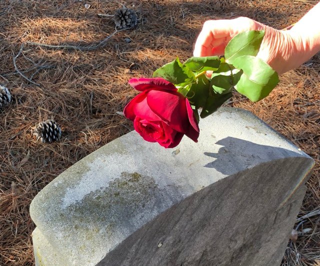 A red rose being placed on a headstone